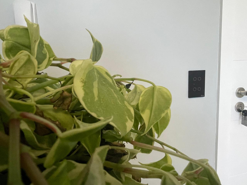 Interruptores modernos